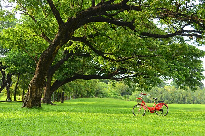 Social Enterprises in the Dutch landscape